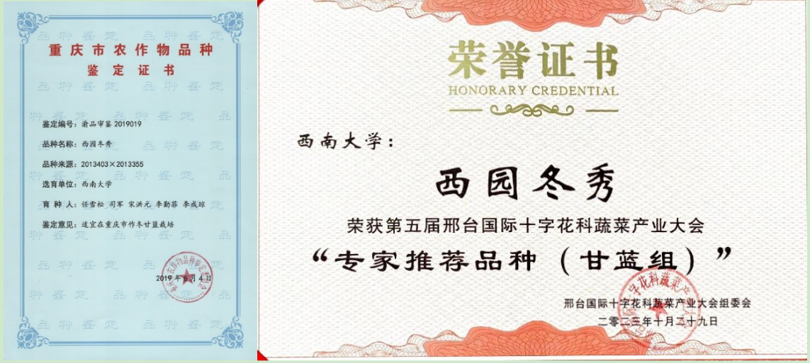 蜜桃传媒