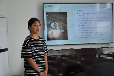  蜜桃传媒