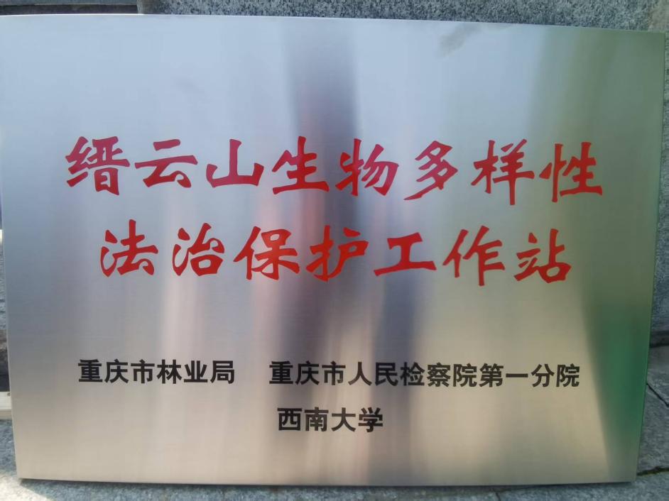 蜜桃传媒